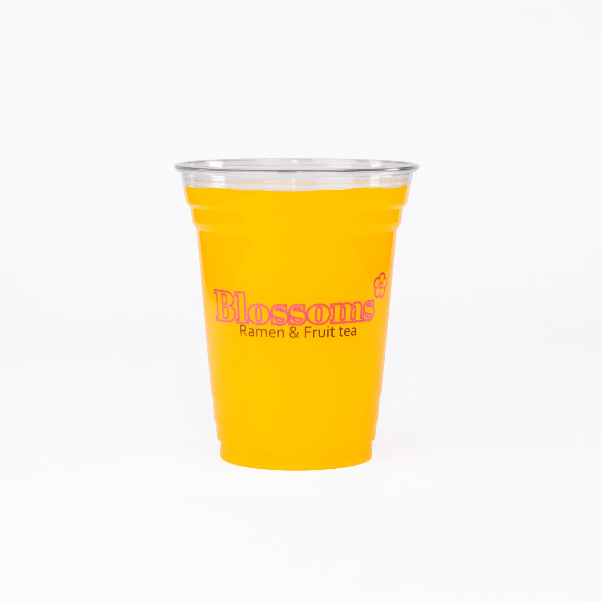 Vaso PET Inter 16 Oz